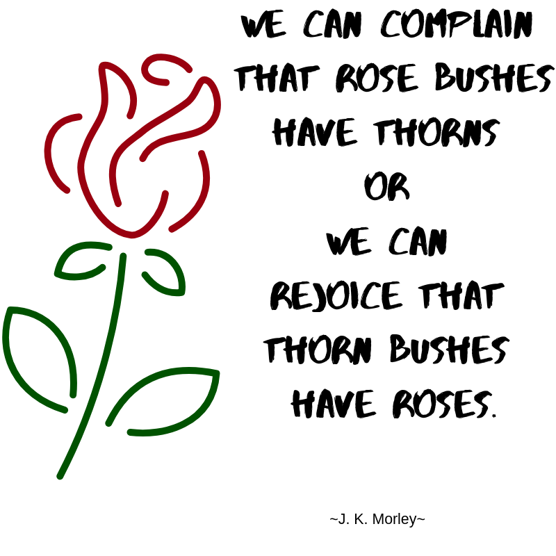 Rose and thorn bushes